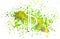 Abstract dollar sign and splashes of watercolor on white background