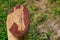 Abstract donkey head on ranch corral post. Wood carving is popular hobby in the culture