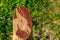 Abstract donkey head on ranch corral post. Wood carving is popular hobby in the culture