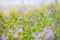 Abstract dreamy beautiful sunny meadow with flowers background