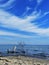 Abstract Driftwood and Cloudscape over Lake