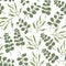 Abstract Eucalyptus Leaves Pattern, Nature Herbal Aromatherapy Leaves Illustration, Seamless Pattern, Vector Illustration EPS 10.