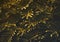 Abstract of exotic fern leaf in gold background