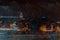 Abstract experimental surreal photo , long exposure, photo of city lights at night. Istanbul Night Life.Gallata tower and
