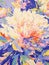 Abstract expressive artwork of peony. Colorful paint stains. Floral gouache or acrylic painting. Explosion and splash of