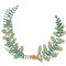 Abstract fern and flower wreath illustration for decoration on natural and organic life style.