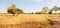 Abstract, fields, fields, fields, stubble, after harvest, golden yellow, with trees and sky, beautiful and bright.