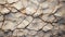Abstract Flagstone Texture: Photorealistic Cracks In Desert Wall