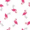 Abstract Flamingo Seamless Pattern Background. Vector Illustration