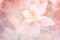 Abstract floral background with a texture. Beautiful pastel shades. soft selective focus