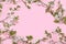 Abstract floral composition, background, minimal holiday concept, spring banner. Cherry branches on a pink background. Greeting