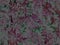 Abstract floral pattern background. Nature background. Desktop background. Pink leaves