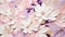 Abstract floral pattern Creamy Pink light beige white lilac violet, motion