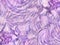 Abstract Floral pink-violet background. Petals of flowers on a pink-white-violet background. Spiral lines.