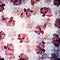 Abstract floral poppy pattern