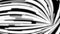 Abstract flow of black and white stripes out of a tunnel, seamless loop. Monochrome, narrow lines moving fast from the