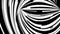 Abstract flow of black and white stripes in a tunnel, seamless loop. Monochrome, narrow lines moving fast into the