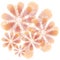 Abstract Flower Texture Peach