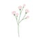 Abstract flowering twig for bouquet in trendy soft hues. Springtime. Vector isolated design element