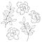 Abstract flowers and branches with leaves. Hand drawn vector illustration. Monochrome black and white ink sketch. Line art.