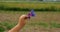 Abstract flowers in a child`s hand.