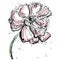 Abstract flowers, Poppies isolated, Hand drawn illustration, sketch