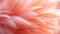 Abstract fluffy feather texture closeup for backgrounds banner