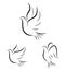 Abstract flying dove set