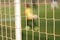 Abstract football goal net network, perfect for stock photos. Dynamic composition captures the essence of the sport, appealing to