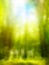 Abstract forest spring green background