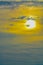 The abstract formation and texture of the clouds over and around the sun. Above the Gulf of Mexico in florida