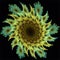 Abstract fractal art blue symmetric fantastic spiral snow flake yellow green fractals