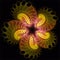 Abstract fractal art symmetric fantastic yellow green red starfish