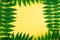 Abstract frame border of tropic green leaves on yellow background