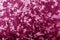 Abstract frost pattern on glass in pink tone