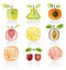 Abstract fruit icon set