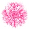 Abstract futuristic background, fantastic pink chrysanthemum flower