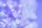 Abstract Gentle Lilac Floral Background