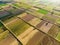 Abstract geometric shapes of agricultural parcels of different crops in green and yellow colors. Aerial top down view of farmlands