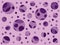 Abstract geometric violet colour ellipse deep effect background