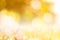 Abstract glamorous white silver and gold bokeh lights glitter sp