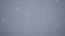 Abstract glittering on a gray background. Blurred snow and snowflakes in the winter in the wind.