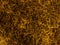 Abstract gold mesh pattern on black background