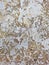 Abstract gold painted wall texture, grunge art deco, unique modern home wall art decorative paint