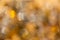 Abstract golden bokeh background. Blur yellow Christmas backdrop. Glitter, party, sparkle