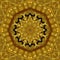 Abstract Golden Forms Pattern, coming from a fractal design,