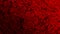 Abstract Gradating Red Background with Texture