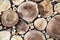 Abstract graphic background from round sawn tree trunks of different sizes
