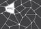 Abstract gray and white geometric voronoi background. Polygonal Mosaic