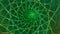 Abstract green background with iridescent spirals.